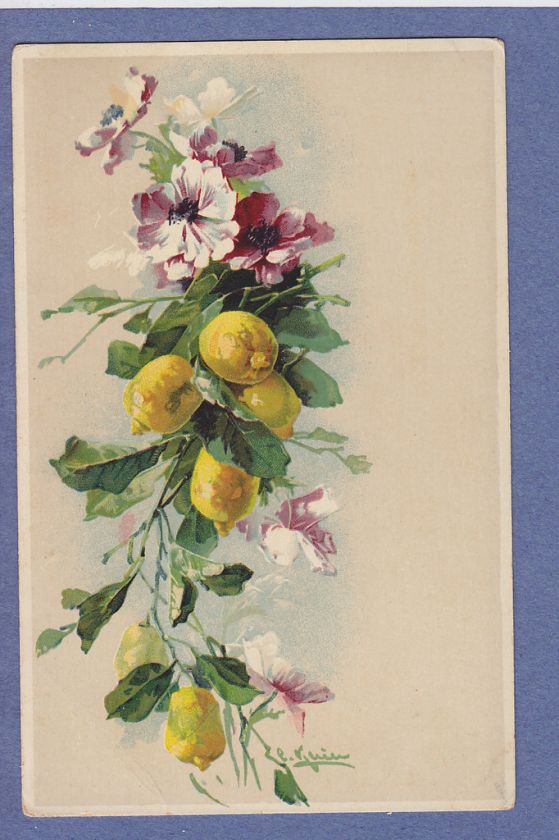 0511 LEMONS & POPPIES A/S CATHERINE KLEIN VINTAGE PC  