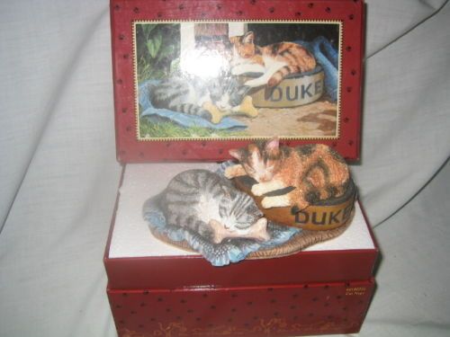 curious cats GRACIE CAT NAPS Lang & Wise NIB  