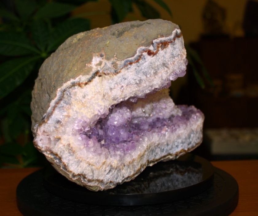 SPECIMENBEAUTY AMETHYST CLUSTER/W BLACK MINERAL AC 563  