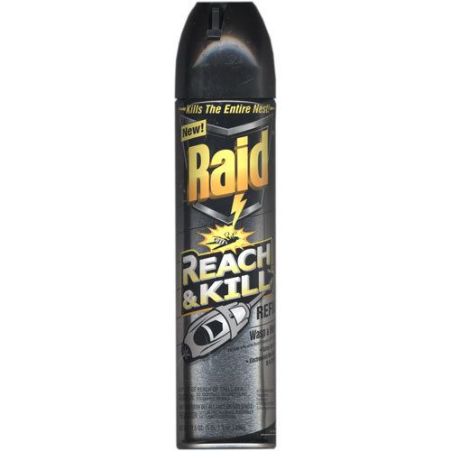 Raid Reach & Kill Wasp & Hornet Killer Refill 17.5 oz  