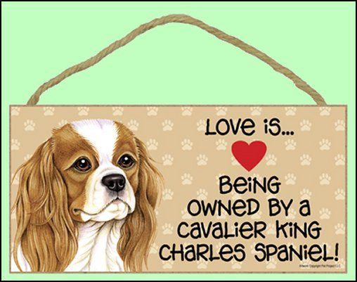 Love is Being Owned by a Cavalier King Charles Spaniel 10 x 5 