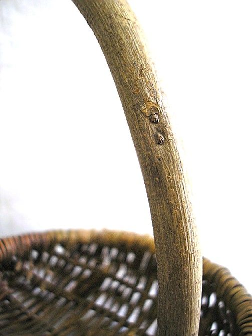 OLD BASKET FROM FRENCH MARKET WOVEN GRAPE VINE HANDLE  