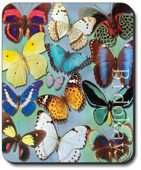 e129 Mousepad Butterflies on Blue Butterfly Bug  