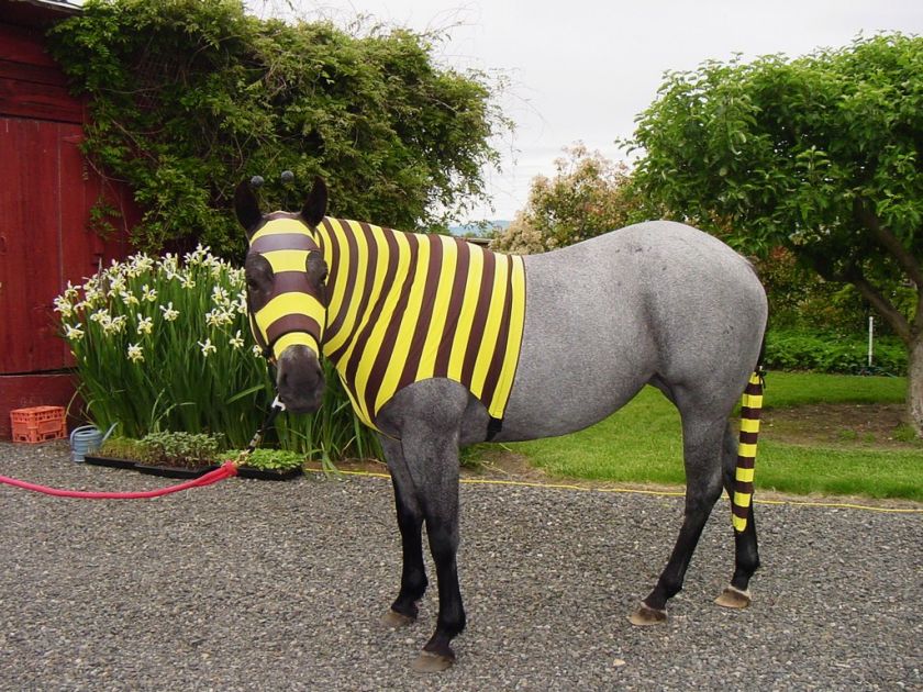 BUMBLE BEE Horse Hood Slinky, Sleazy/TAIL BAG* MEDIUM  