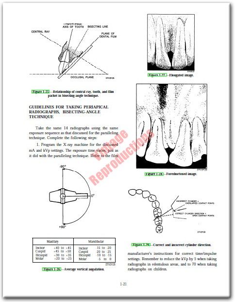 585pg. DENTAL TECHNICIAN Dentistry Training Manuals CD  