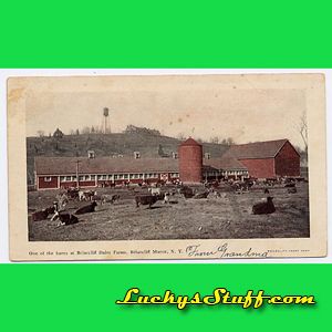 BRIARCLIFF MANOR DAIRY FARM NY   Early 1900s POSTCARD New York  