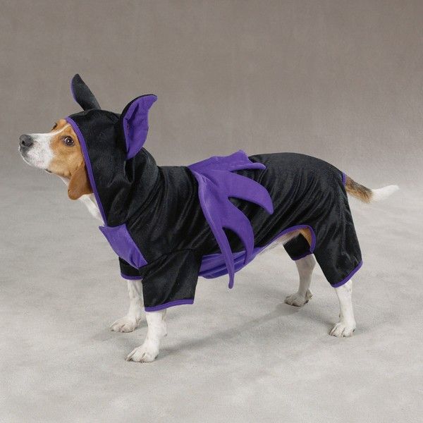 Dog XS BAT Halloween Costume Clothes Apparel X SMALL  