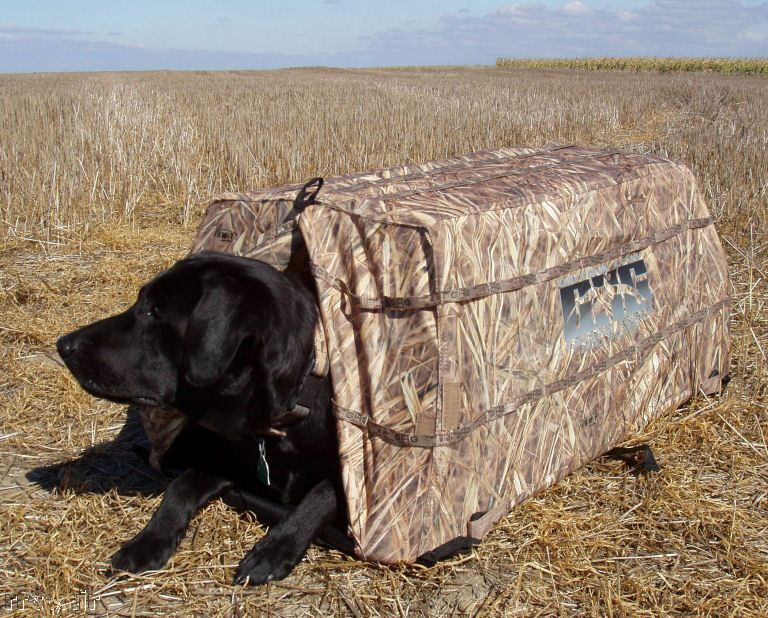 AVERY GHG GROUND FORCE ULTRA LOW DOG BLIND KW 1 NEW 700905025190 