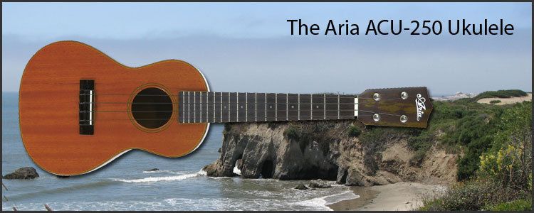 Aria ACU 250    Concert Ukulele     GREAT DEAL  