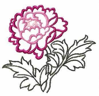 Peony Flowers 14 Machine embroidery designs set  