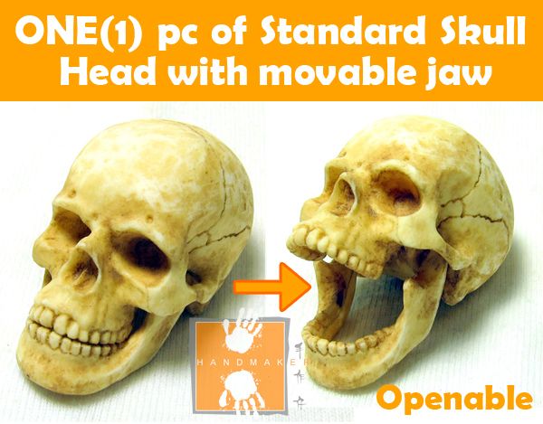 Hot Custom 1/6 Scale Toys Skull Head with Movable Jaw  