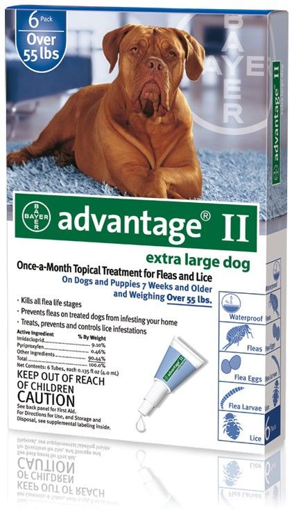 MONTH Advantage II Flea Control for Dogs Over 55 lbs  