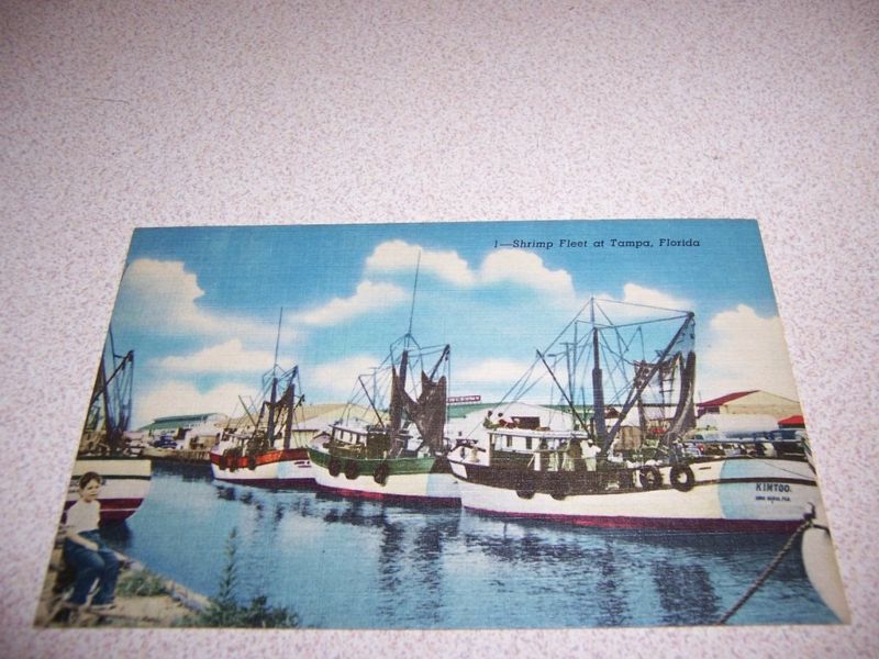 1940s SHRIMP FLEET DOCKS BOATS TAMPA FL. LINEN POSTCARD  