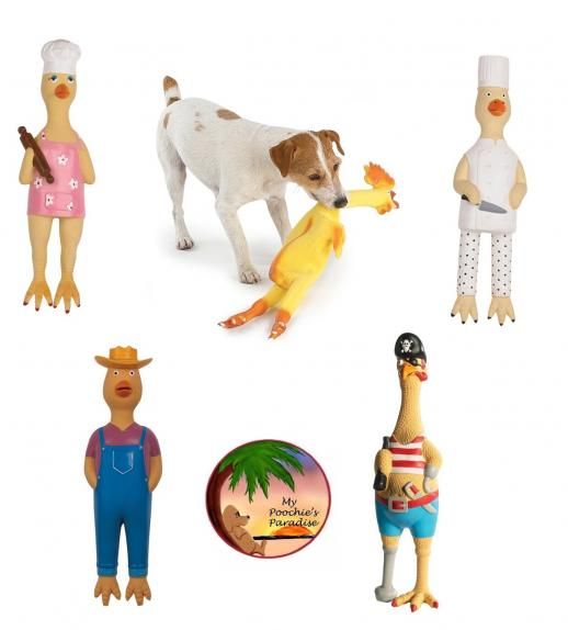 RUBBER CHICKENS for DOGS   Latex Squawkers   5 Styles  